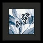 steven-n-meyers-eucalyptus-i-framed-art-print.jpg