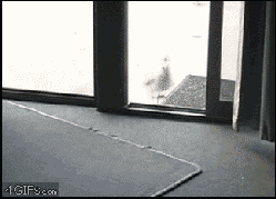 237614e0c99704180b.gif