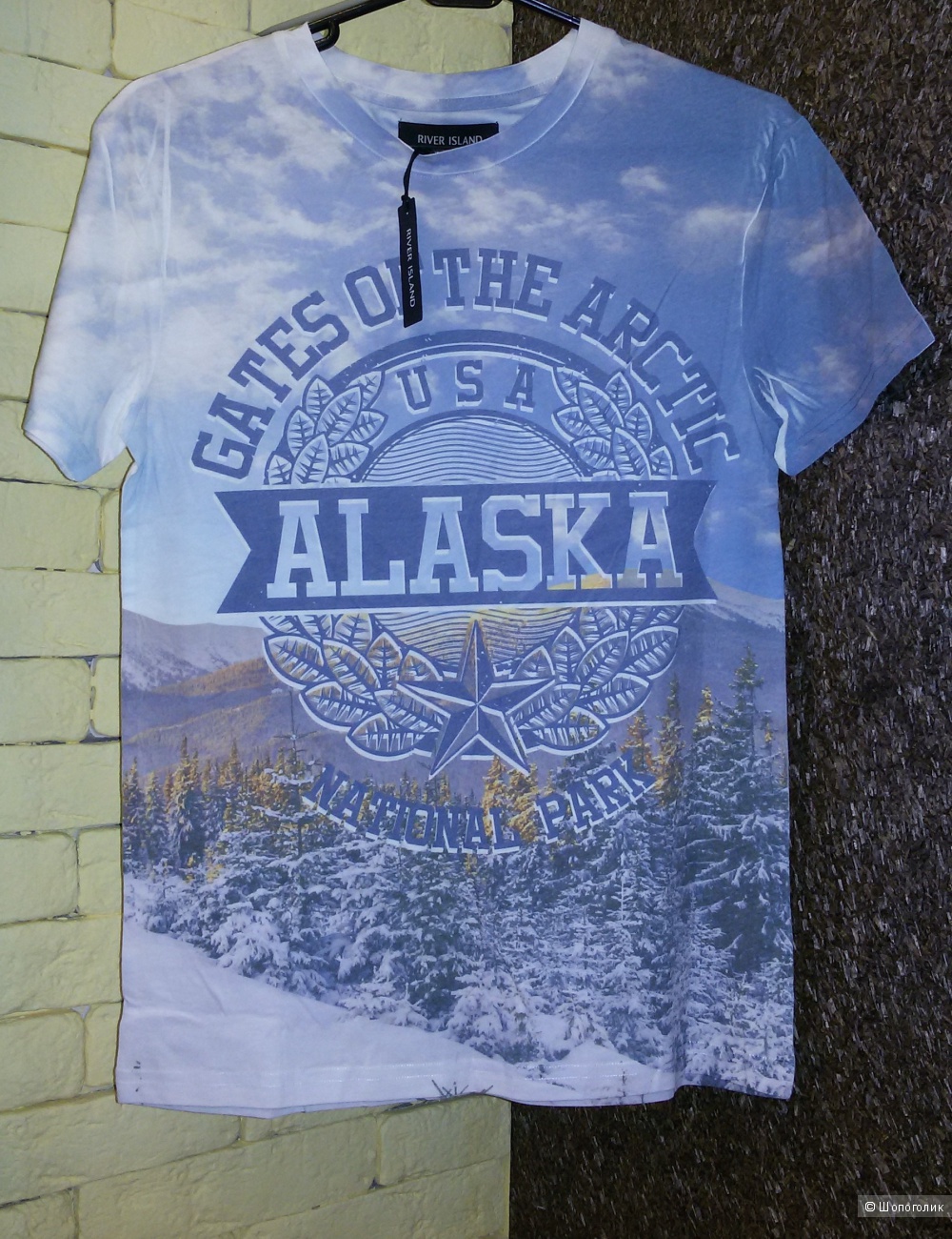 Мужская футболка Alaska