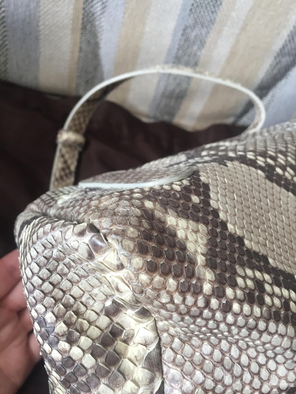 Roberto Cavalli python diva bag