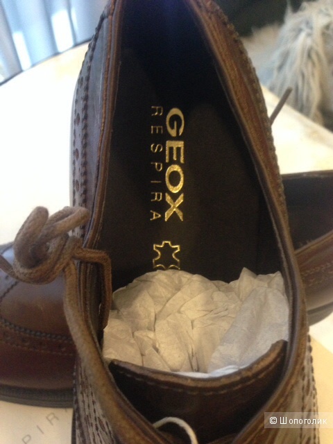 Мужские ботинки на шнурках GEOX,43