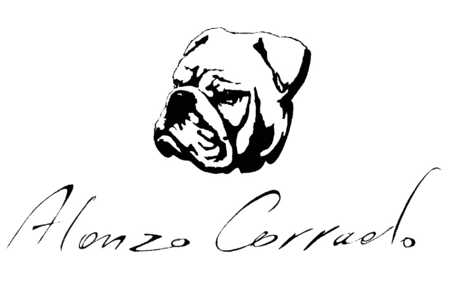 Рубашка Alonzo Corrado 48 размер