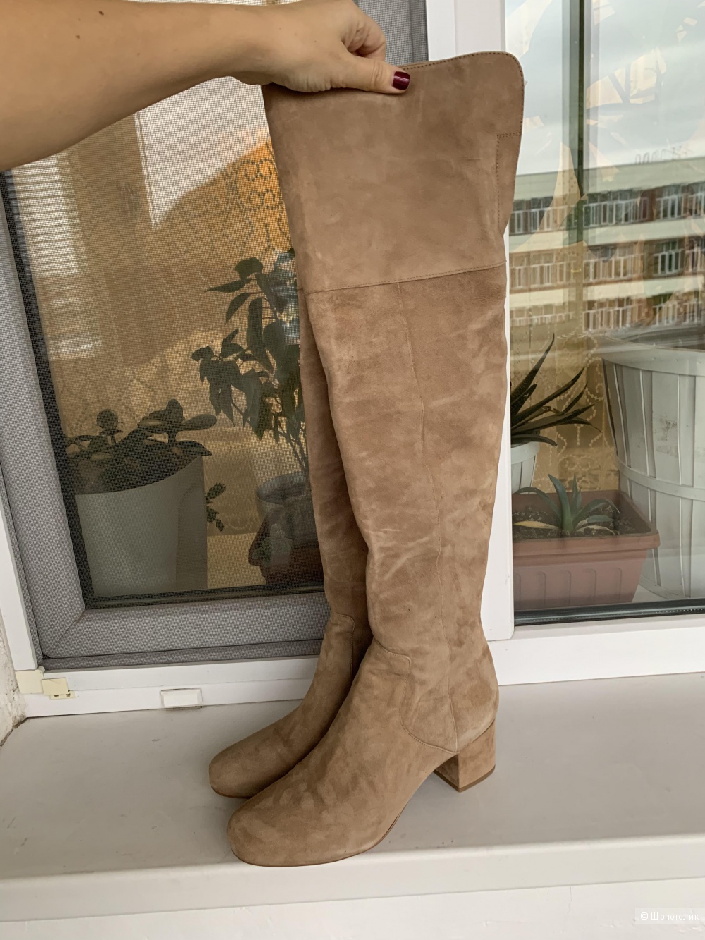 Сапоги Sam Edelman 39 размер