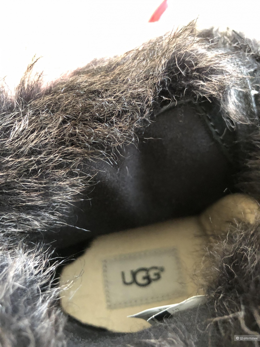 Кеды высокие ugg avstralia 38