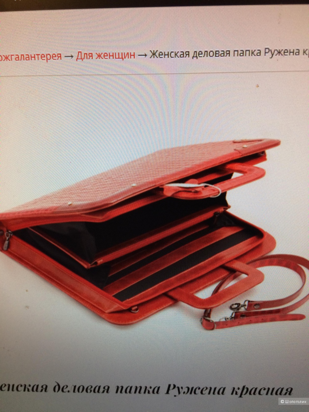 Сумка папка Elisir 380х280 кожа с кристаллами Swarovski