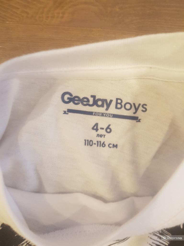 Сет из 3 футболок для мальчика 4-5 лет