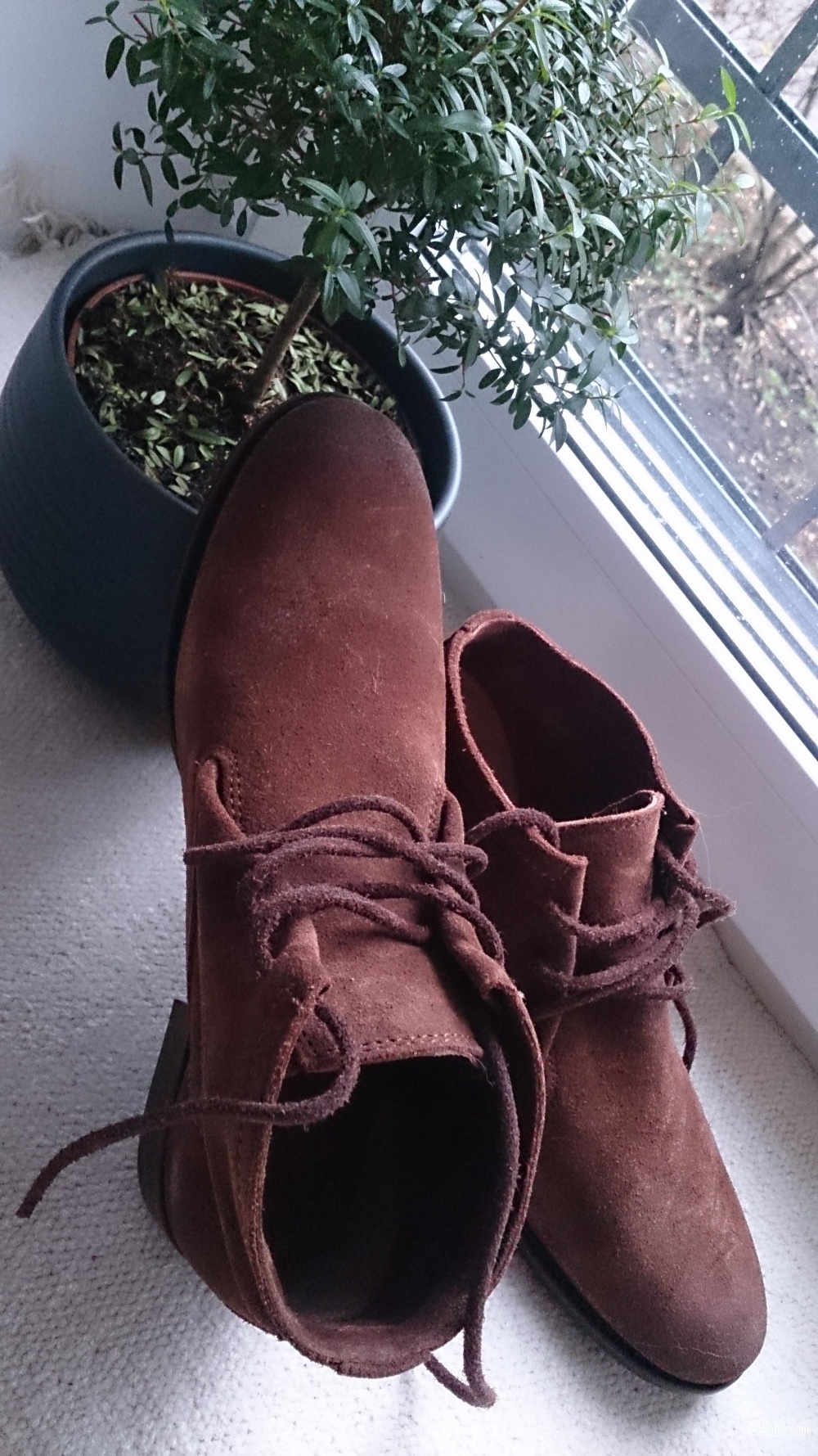Замшевые ботиночки Frye, 38 европейский размер