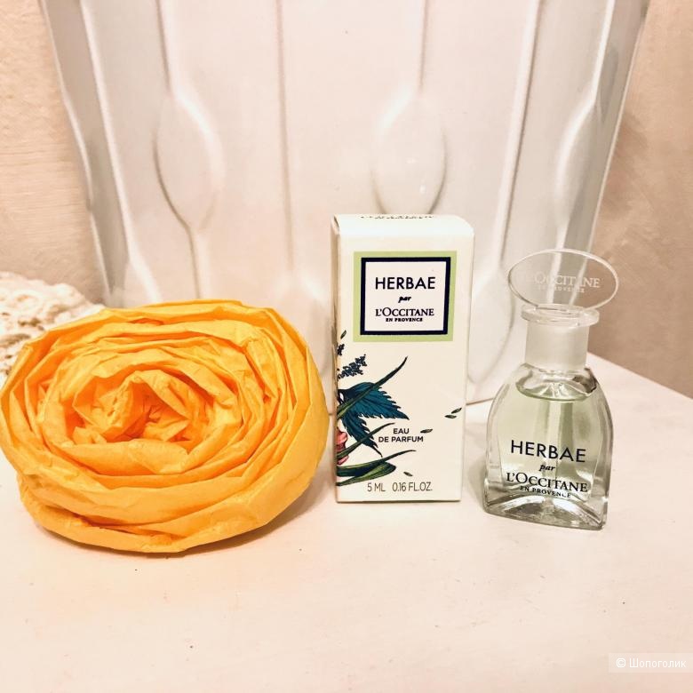 Парфюм духи Loccitane HERBAE