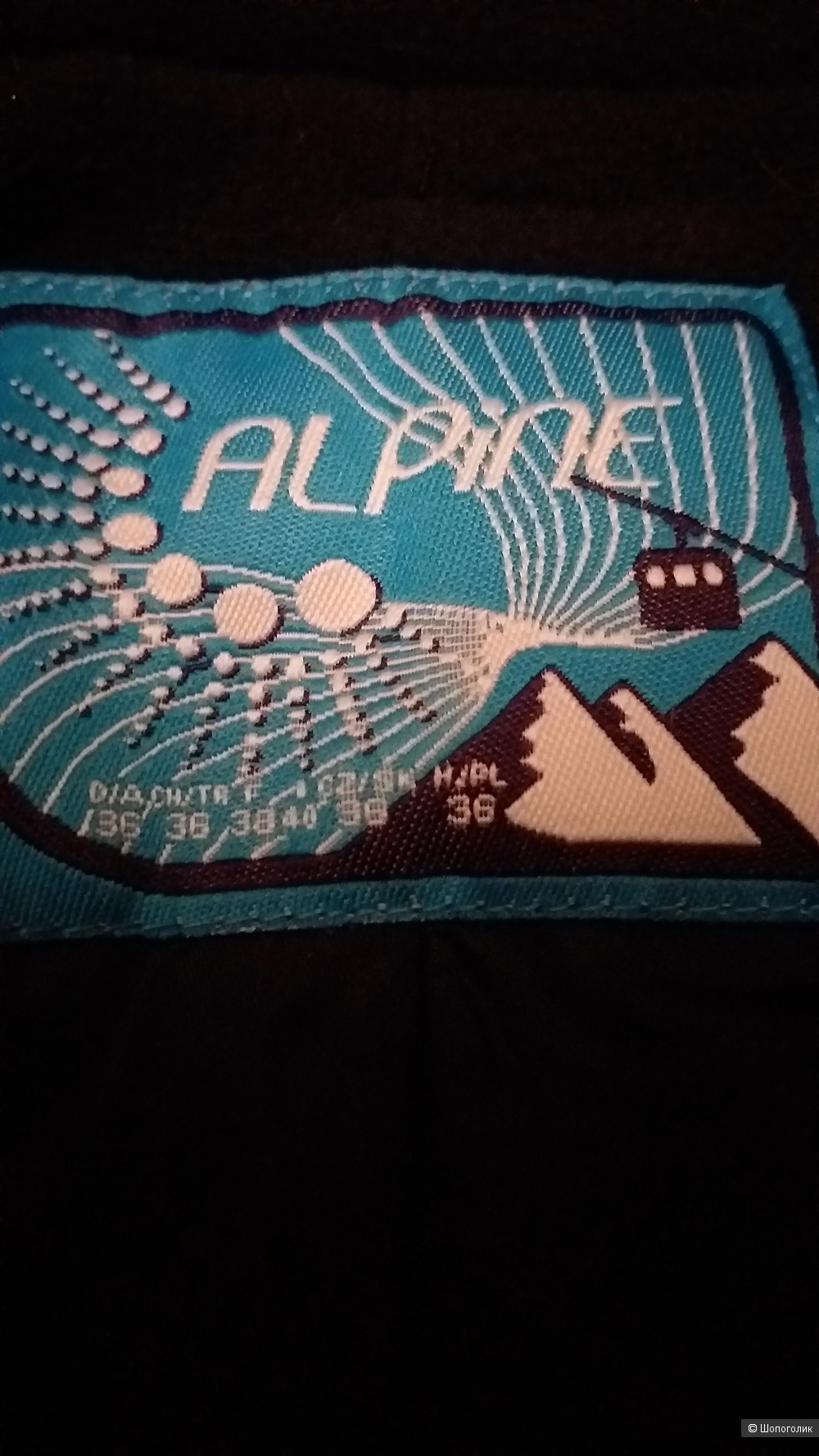 Брюки зимние Alpine, р. S