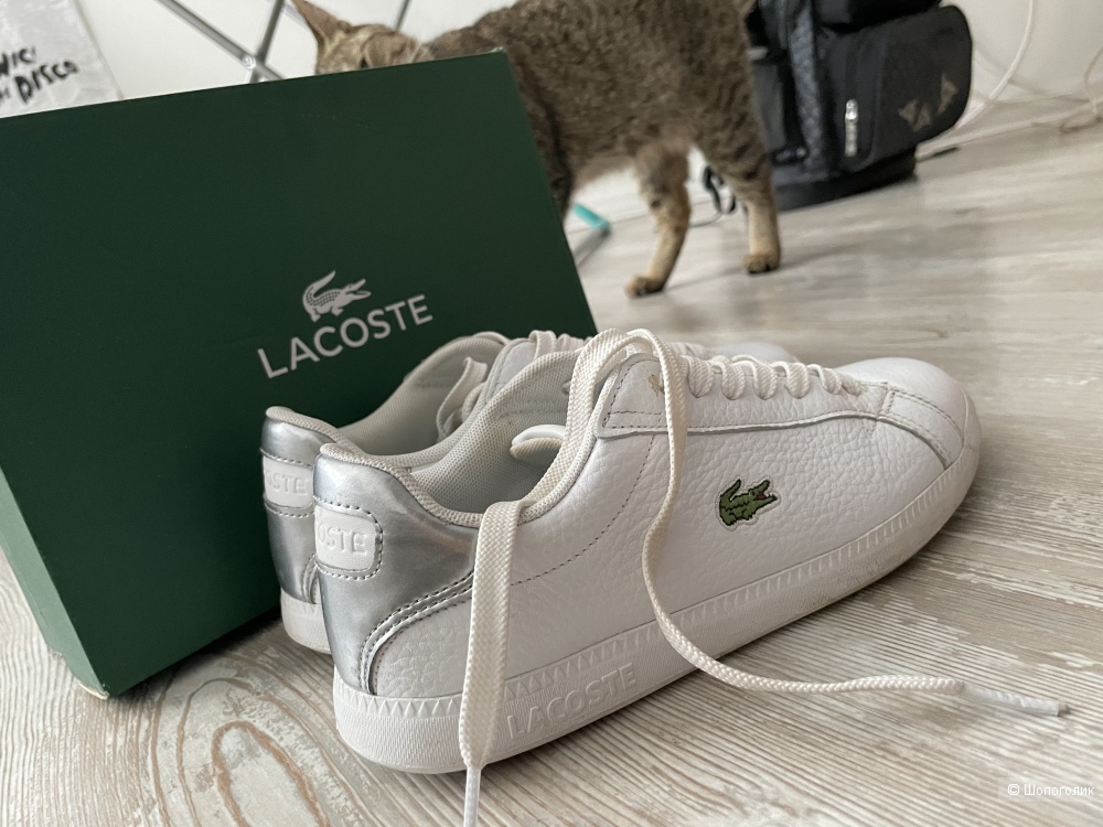 Кеды, Lacoste, натуральная кожа, 37