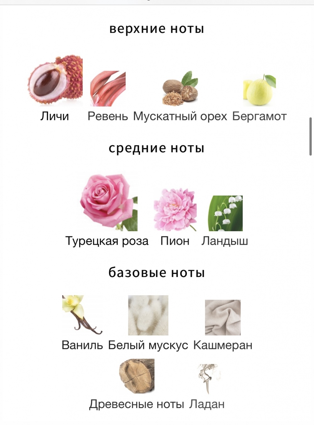 Парфюм Bloom The Woods Collection 100 мл