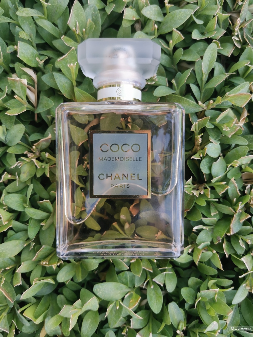 Парфюмерная вода CHANEL COCO MADEMOISELLE, 50мл.