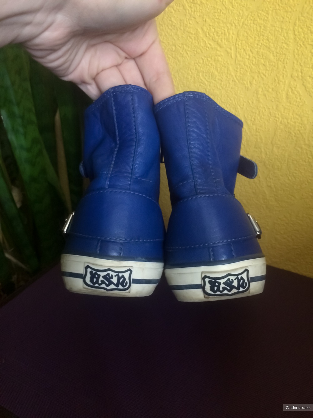 Хайтопы Ash,38 рр