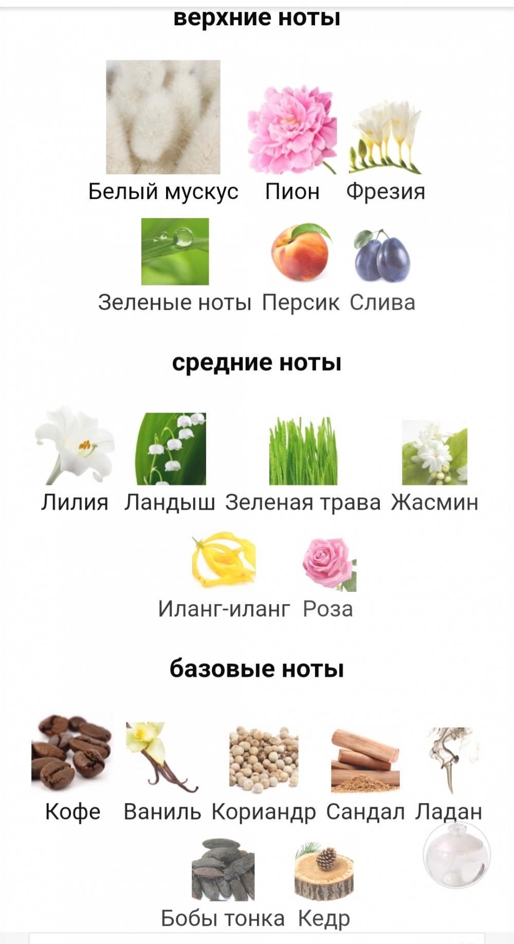 Туалетная вода Cacharel NOA 30 мл.