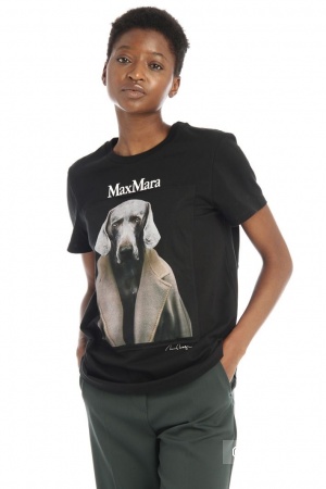 Футболка под Max Mara dog capsule , 42-50
