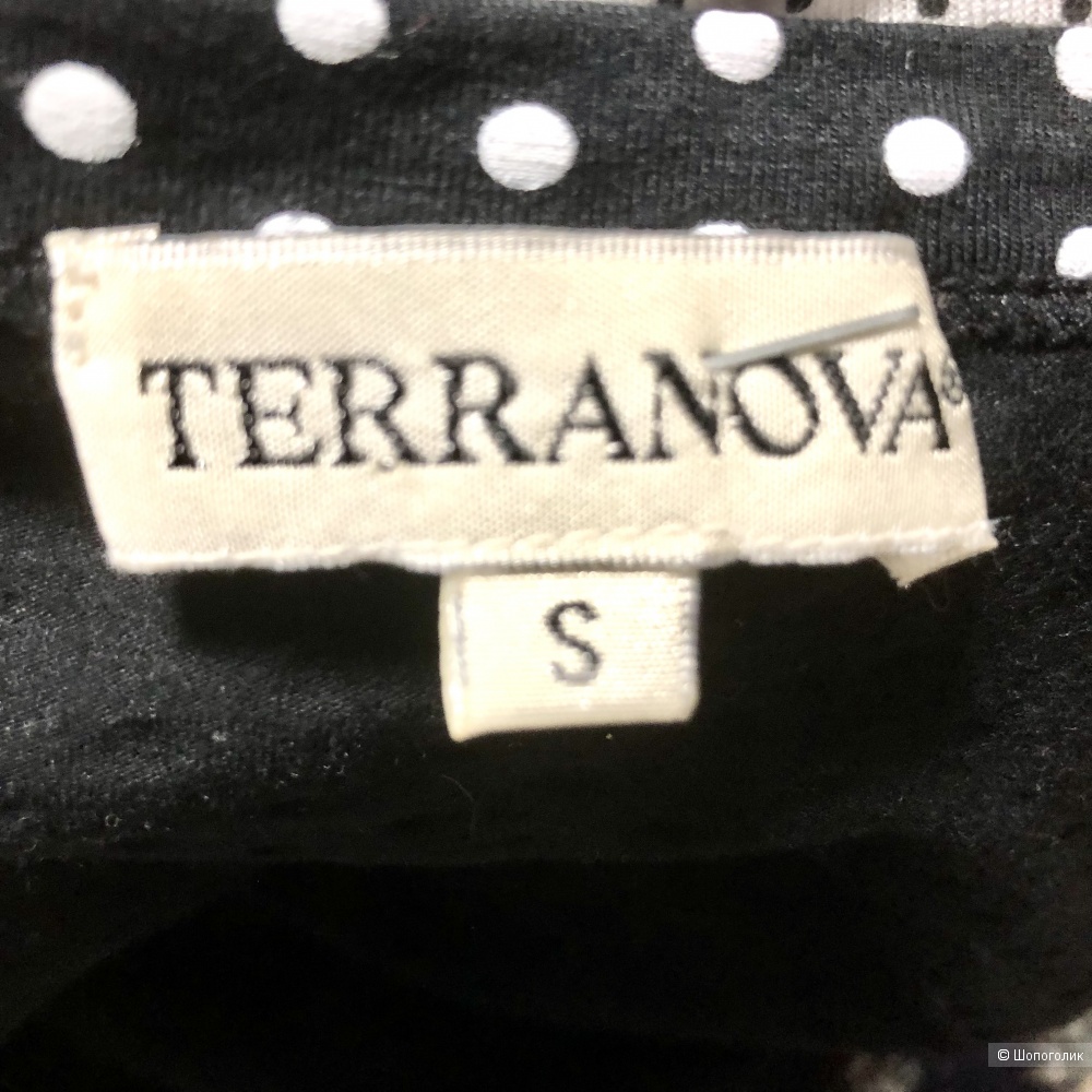 Топ Terranova 42:44