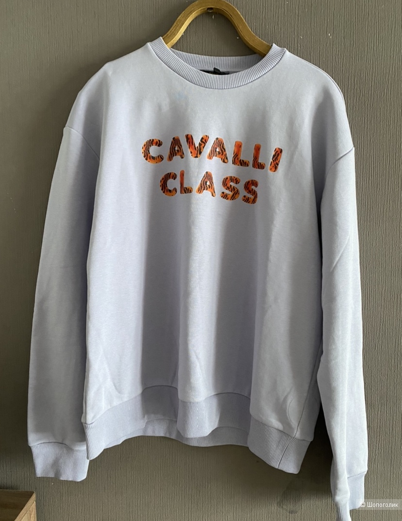 Свитшот Cavalli Class L