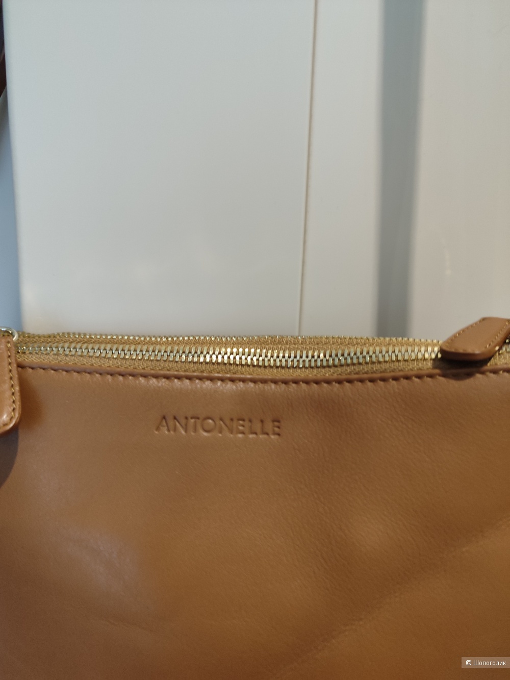 Кожаная сумка Antonelle