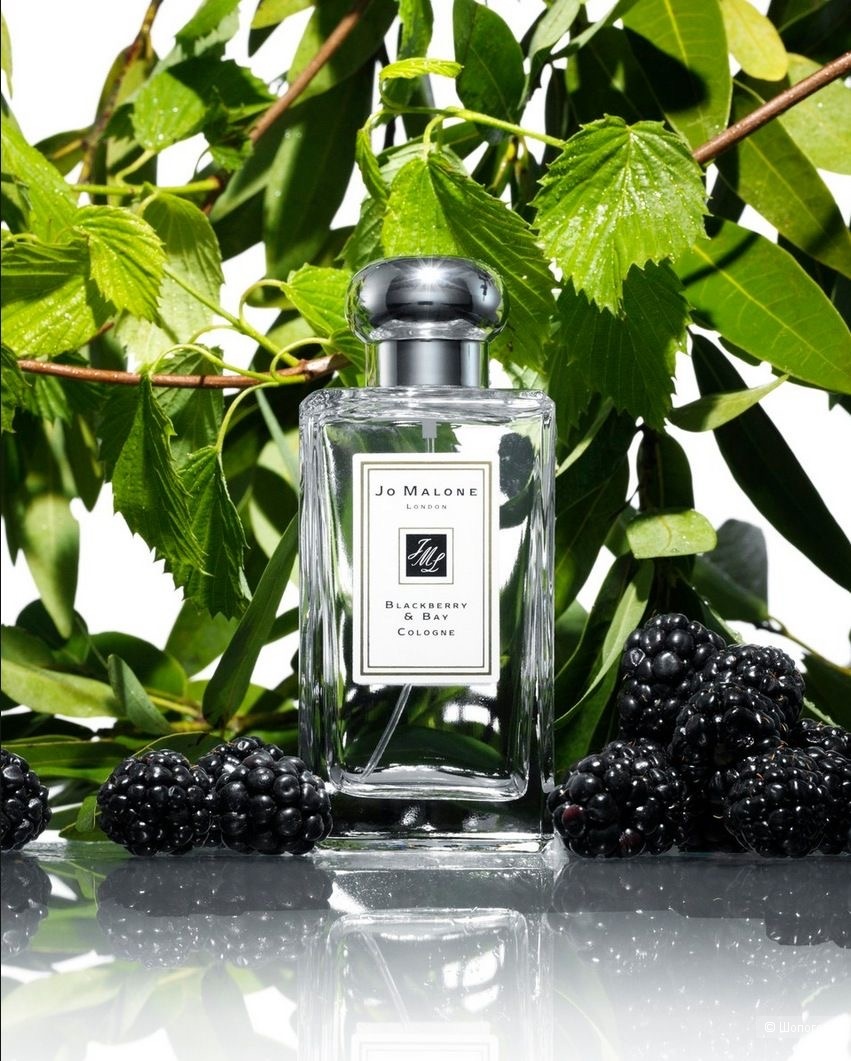 Туалетная вода JO MALONE blackberry & bay, 18ml