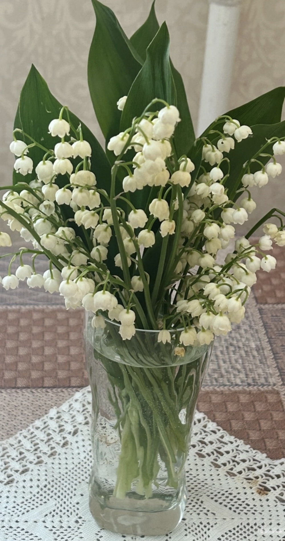 MUGUET Ландыши edt 30 ml