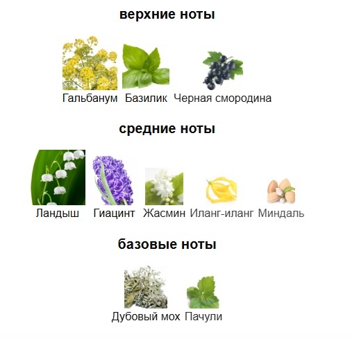 Synthetic Jungle от Frederic Malle, 10 мл