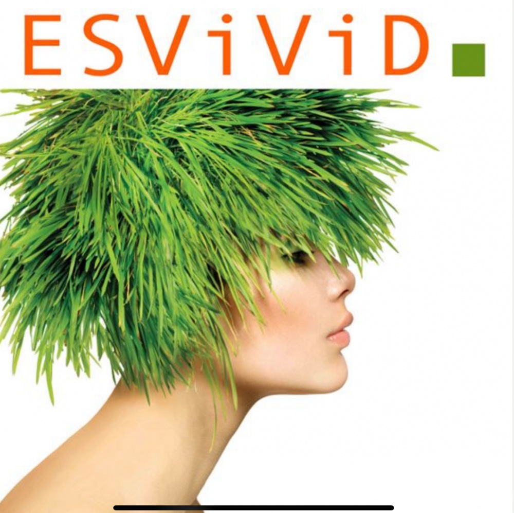 Брюки Esvivid,46-48