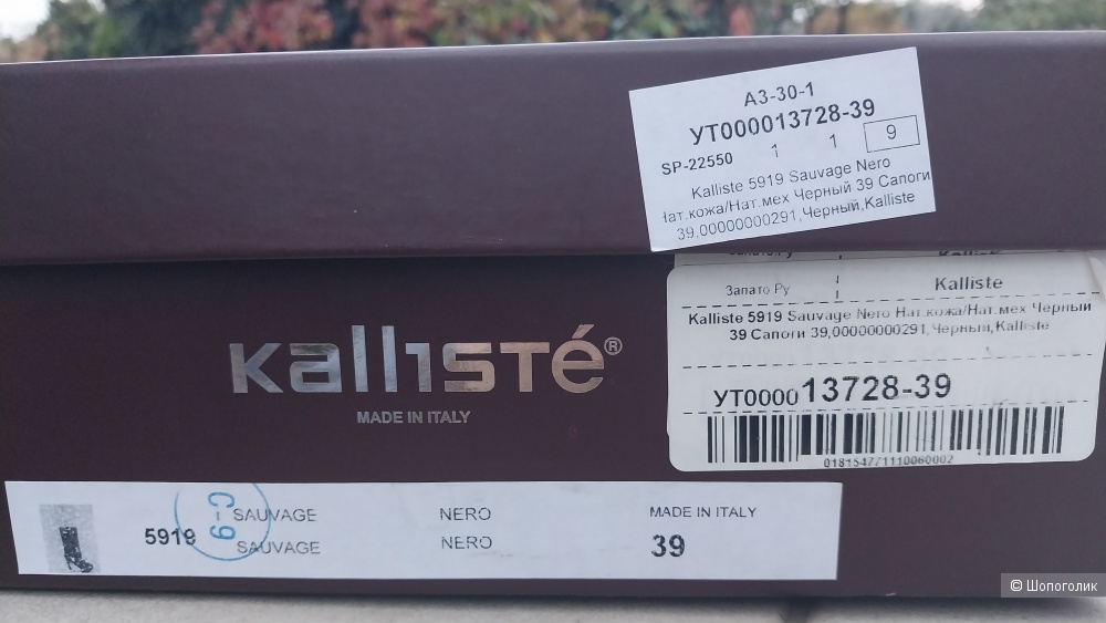 Зимние сапоги Kallistе р.39