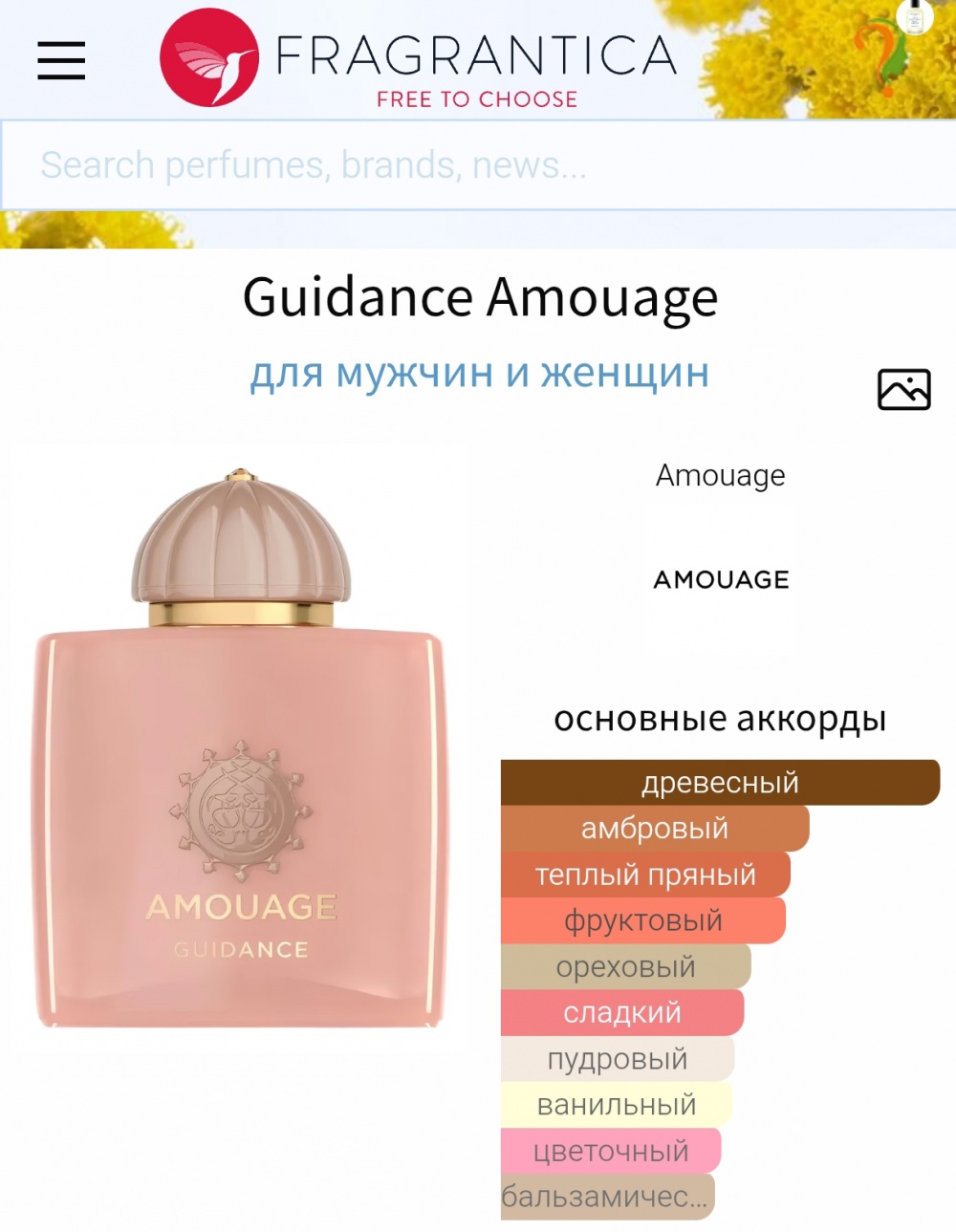Amouage Guidance, edp 2 мл