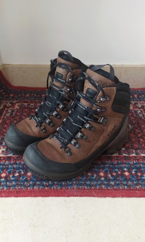 Ботинки женские Ecco 36