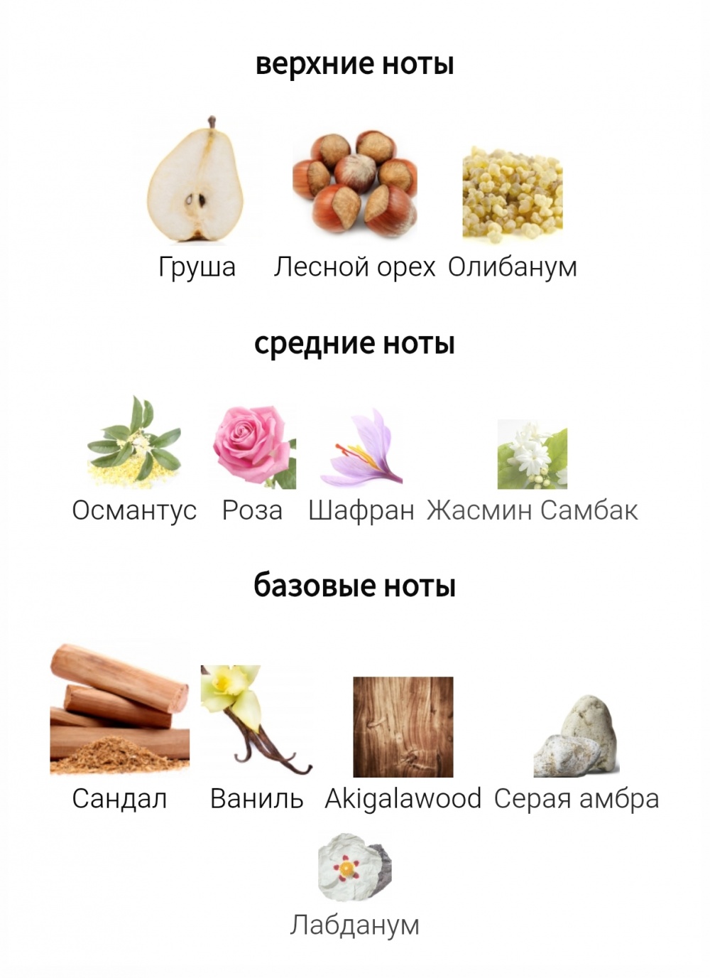 Amouage Guidance, edp 2 мл