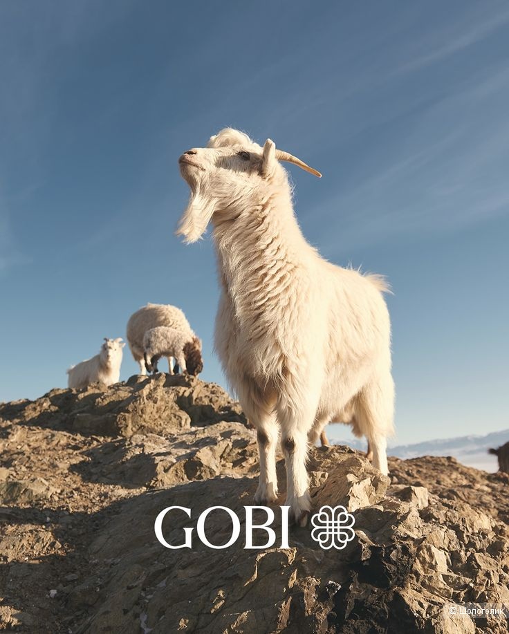 Кашемировое платье Gobi Cashmere/S-M