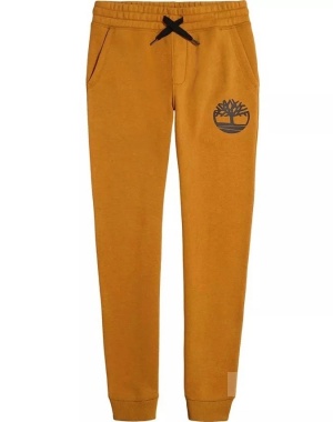 Джоггеры Timberland 14/16 лет