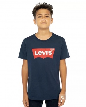 Футболка Levi's р146-162