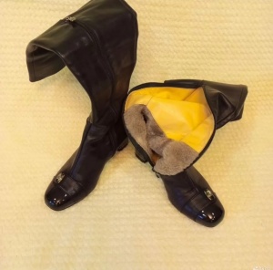 Сапоги FABIANI