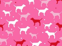 victorias-secret-pink-dogs.jpg
