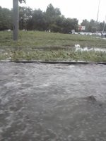 CAM01541.jpg