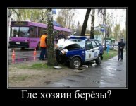 s3img_161461572_28620_1.jpg