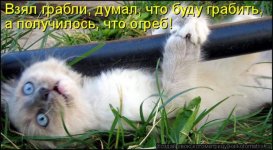 1282890529_kotomatrix_22.jpg