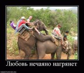 getImage (2).jpg