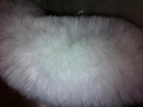 IMG_2071.jpg