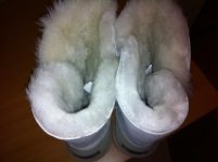 IMG_2070.jpg