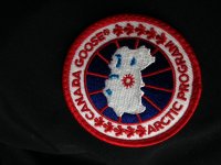 IMG_0023.jpg