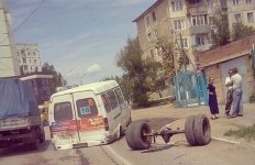 газель.jpg