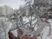 IMG_1272.jpg