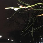 IMG_8732.jpg