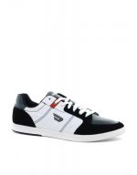 image1xxl.jpg