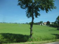 IMG_3926.jpg
