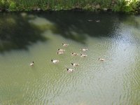 IMG_3939-1.jpg