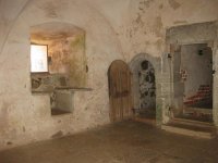 IMG_3955.jpg