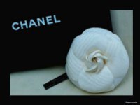 Chanel-chanel-654599_800_600.jpg